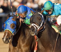 Suave & Magna Graduate