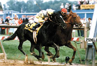 Sunday Silence