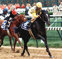 Sunday Silence's legend runs on