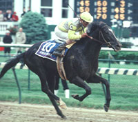 Sunday Silence