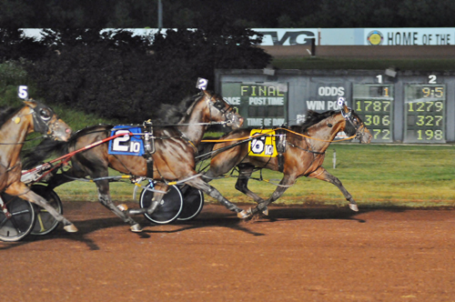 Sunfire Blue Chip 7/21/18