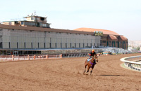 Sunland Park