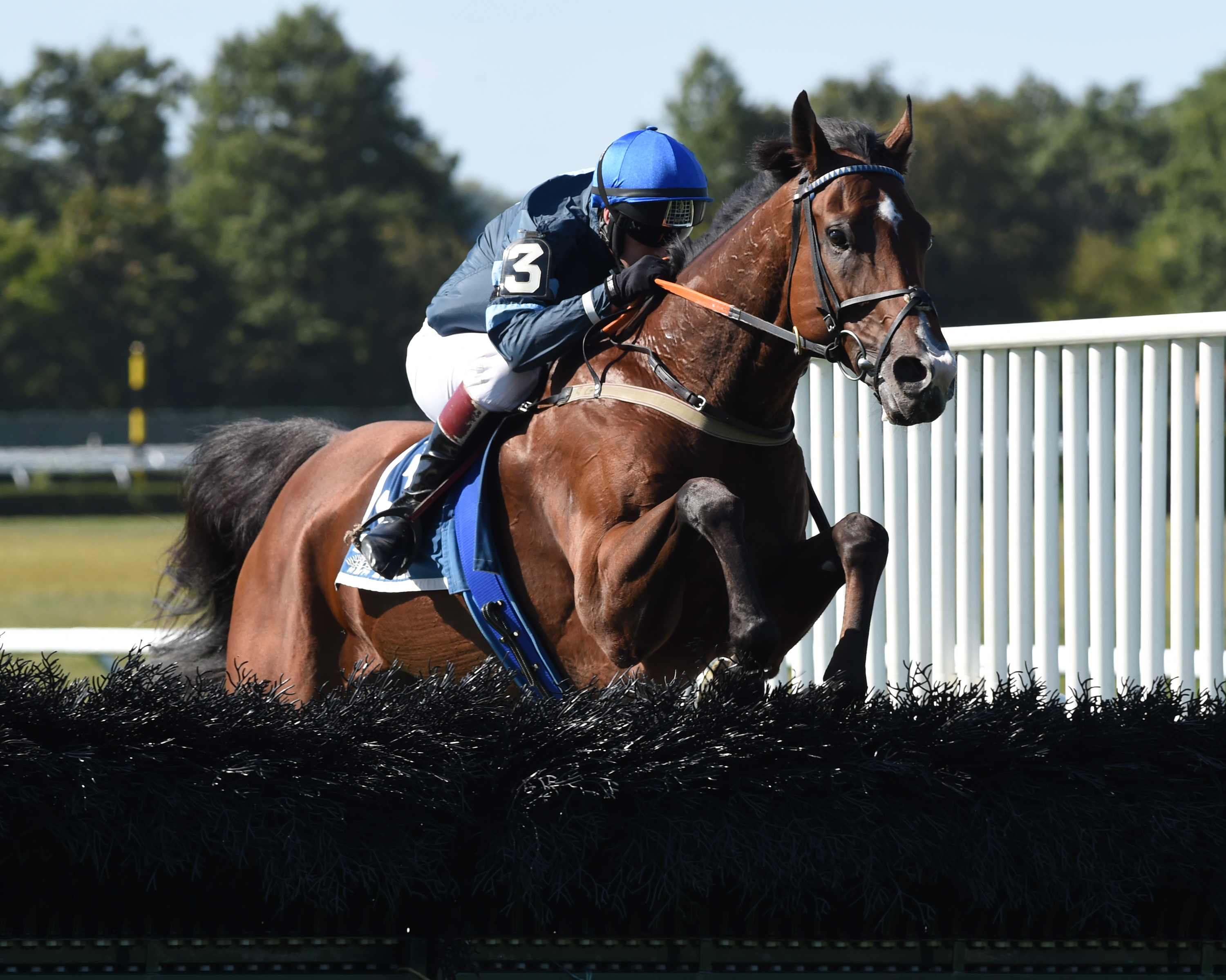 Surprising Soul wins the 2019 Lonesome Glory Handicap