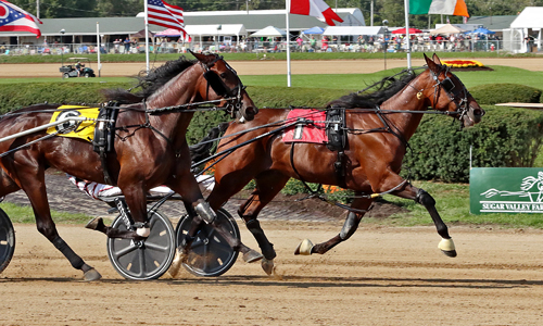 Sweet On Pete 9-19-22