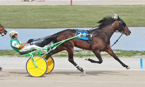 Swizzle Hanover 4-12-21