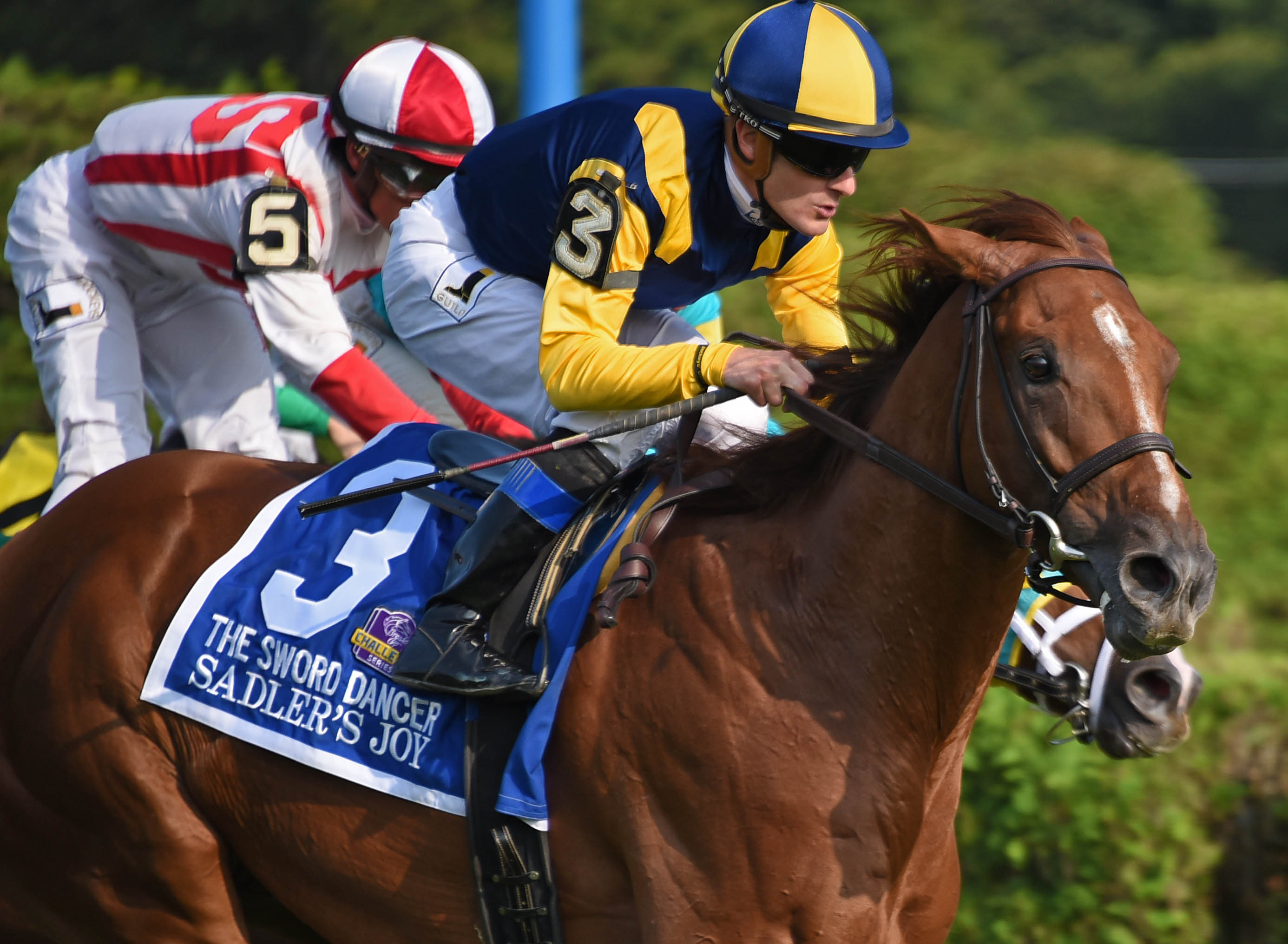 Sadler's Joy