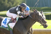 Take Charge Lady