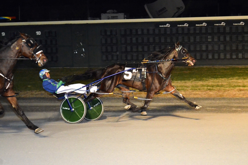 Tall Drink Hanover 11/14/19