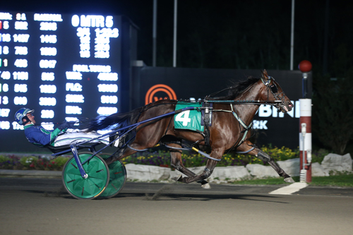 Tall Drink Hanover 9/22/18
