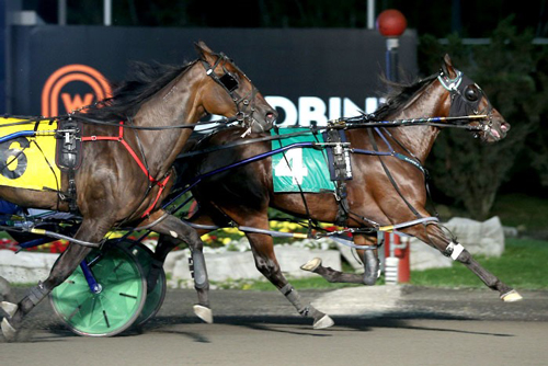 Tall Drink Hanover 9/7/19