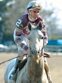 Tapit
