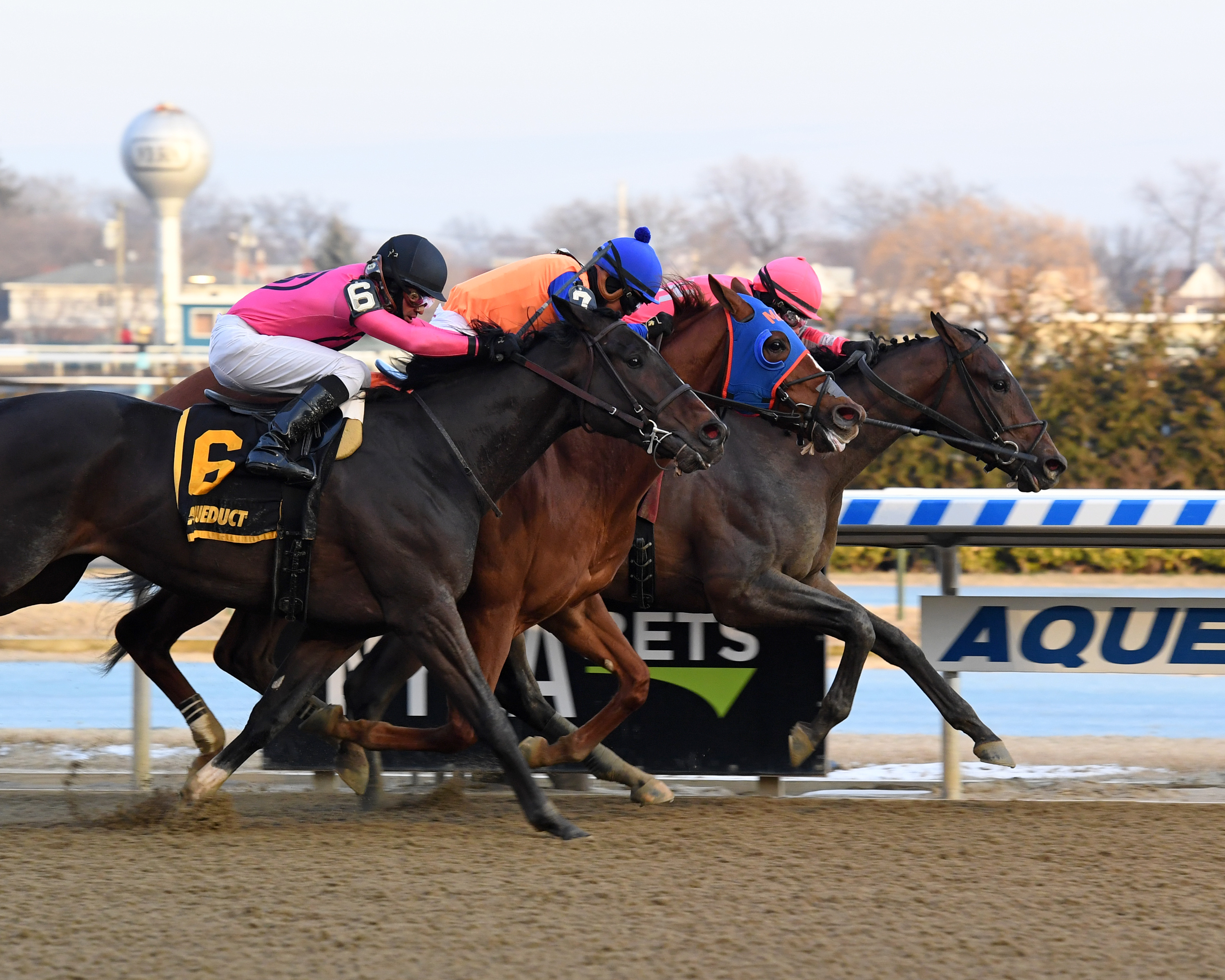 Tax (far right) wins the 2019 Withers Stakes
