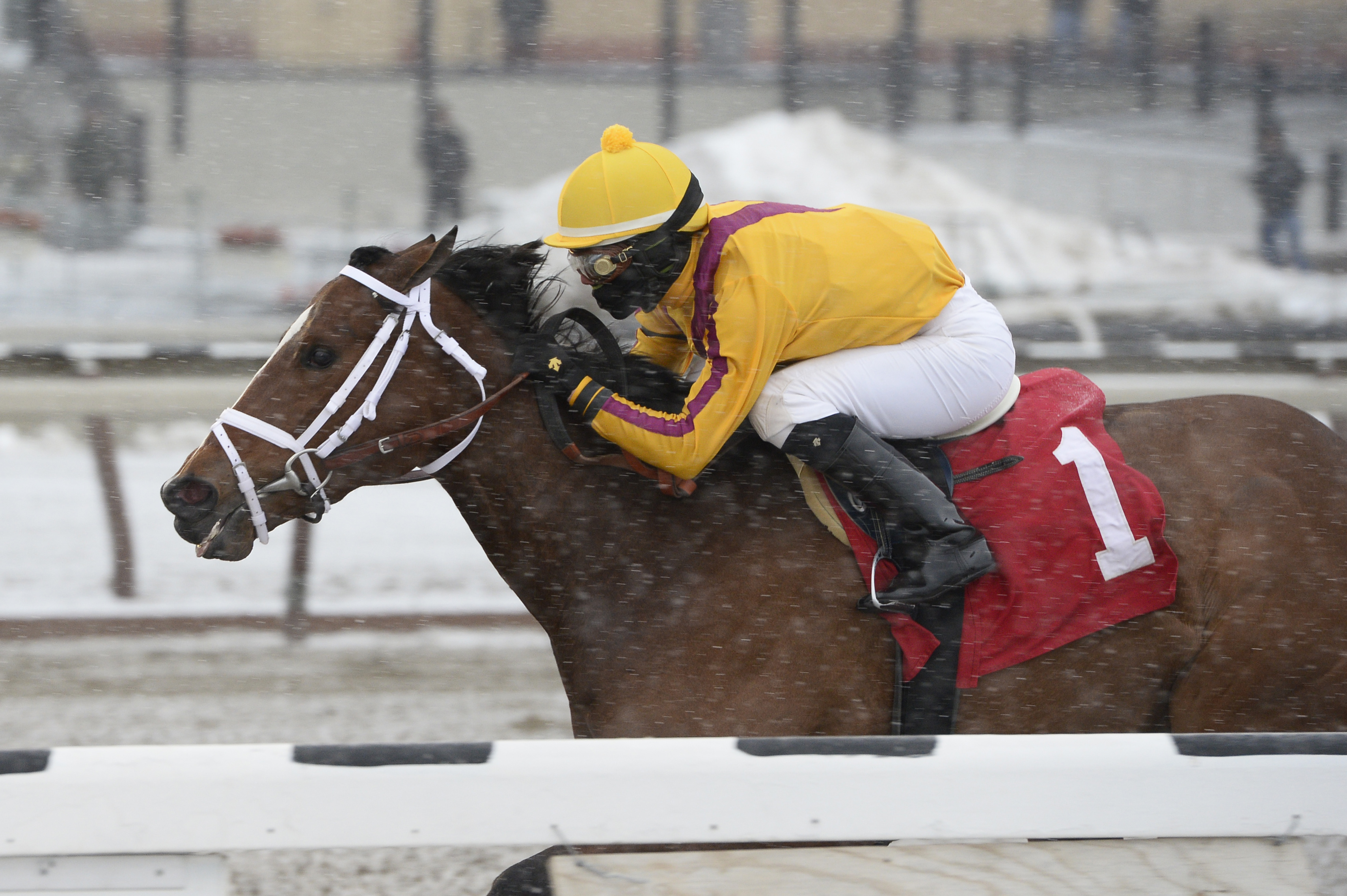 Teen Pauline 1-25-2014