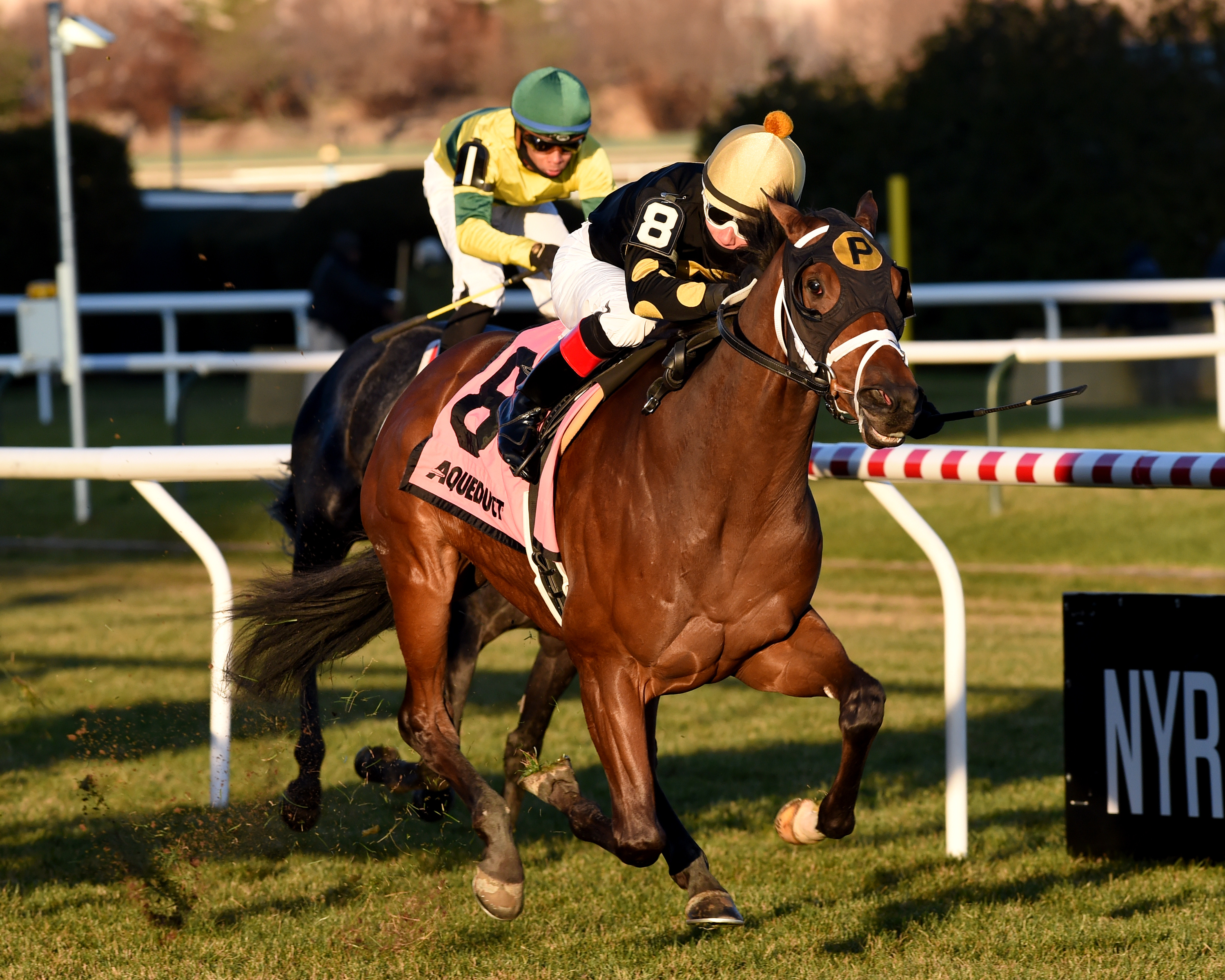 Temple wins the 2019 Gio Ponti Stakes