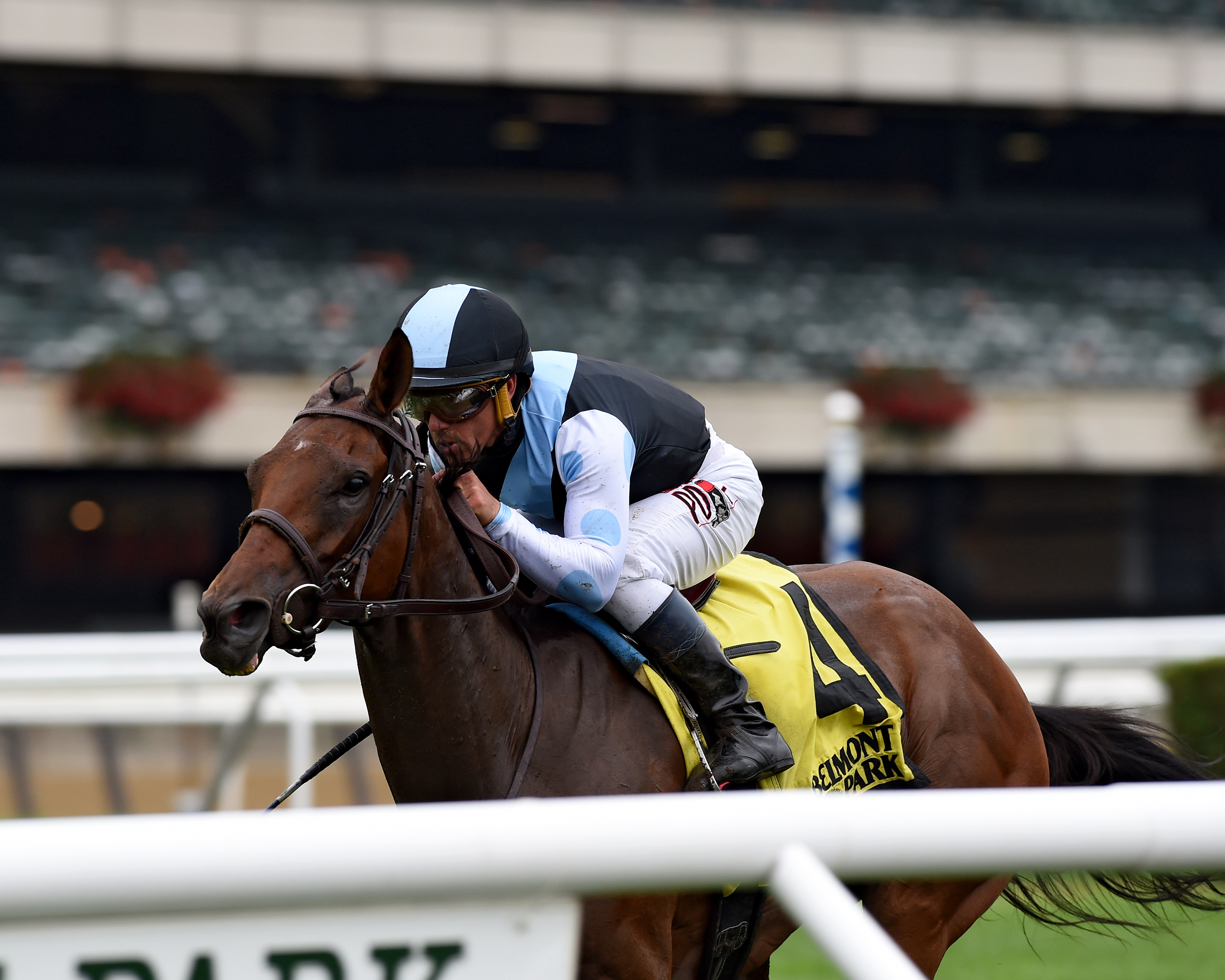 Tesora wins the 2018 Christiecat Stakes