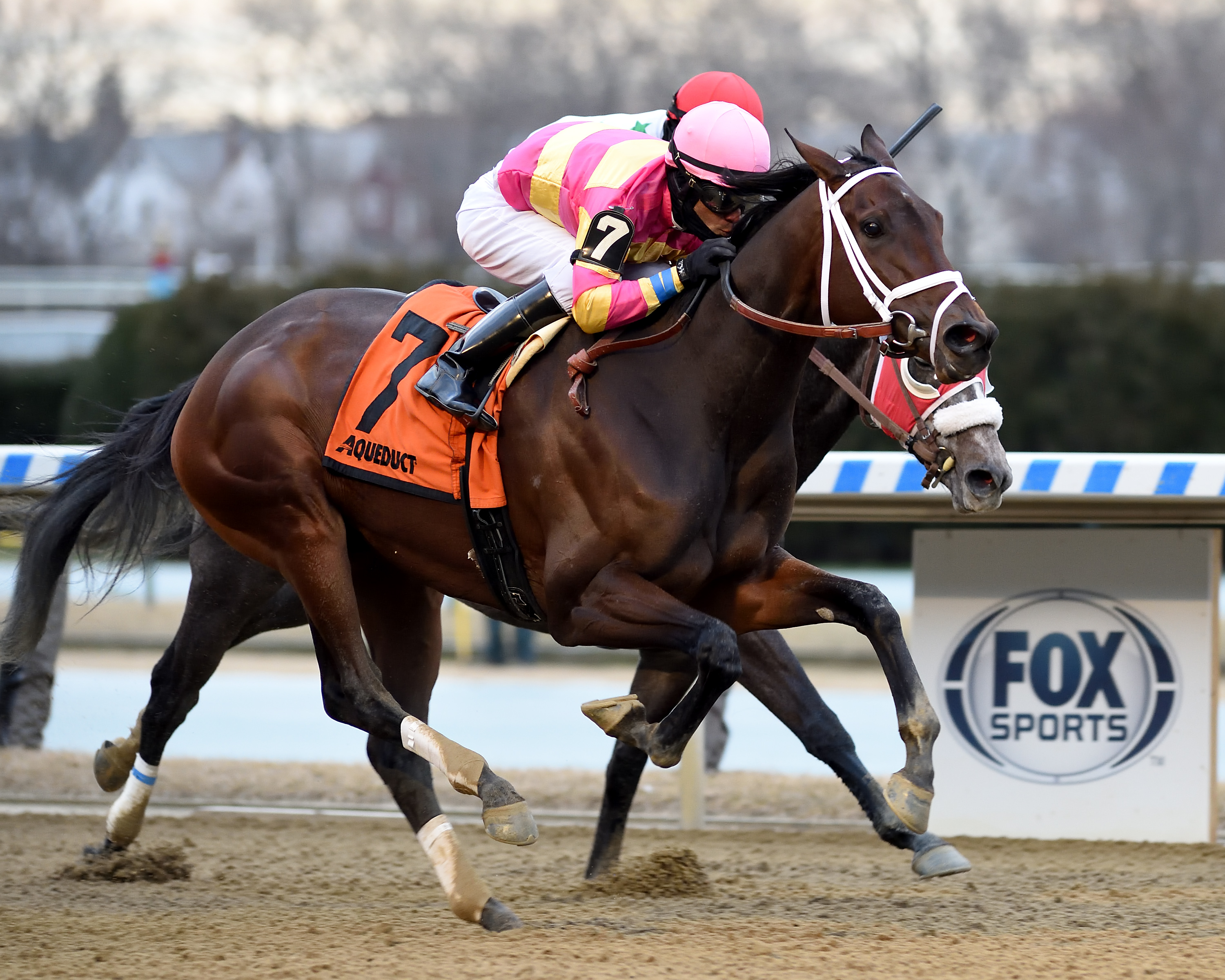 Thankful wins the Ladies Handicap 1-17-2021