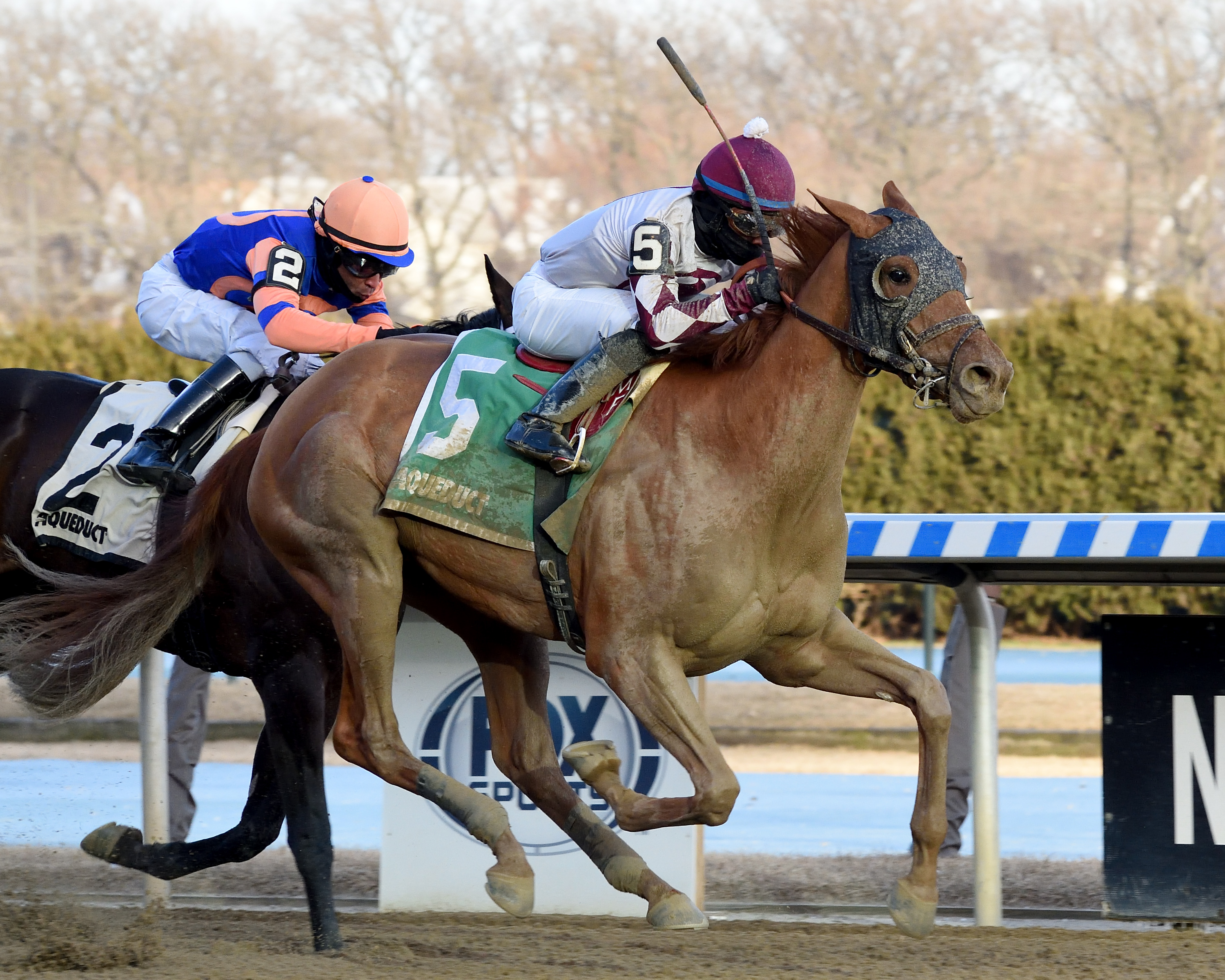 The Grass is Blue wins Busanda 1-24-2021