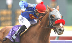 thorsecho_250x200_112306.jpg