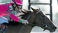 Ticker Tape
