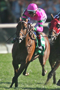 Ticker Tape