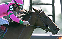 Ticker Tape
