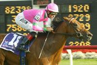 Ticker Tape