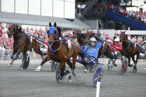 Timoko 5/28/17