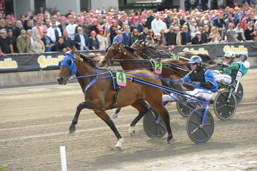 Timoko 5/29/16