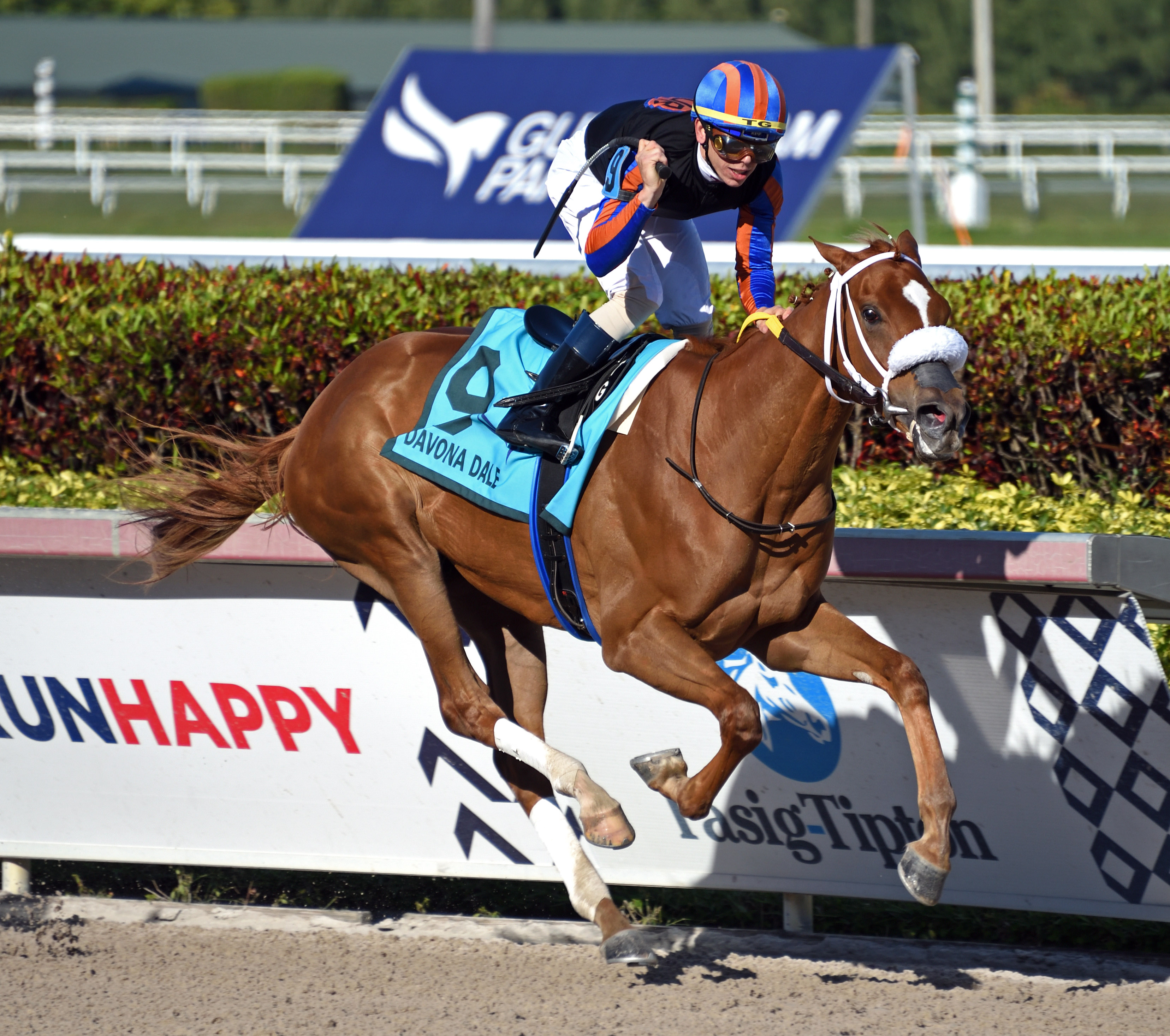 Tonalists Shape wins the 2020 Davona Dale Stakes