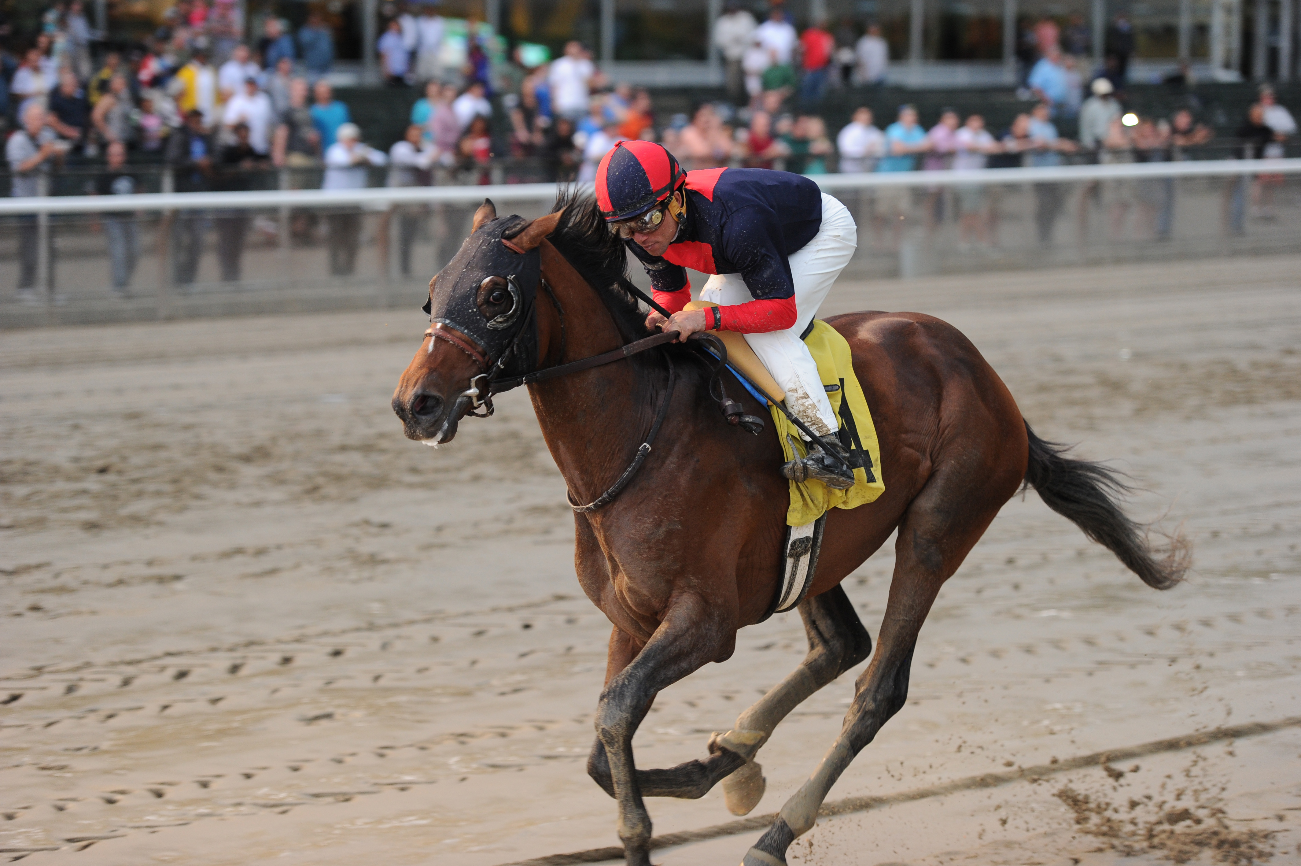 Tonalist 5-10-2014