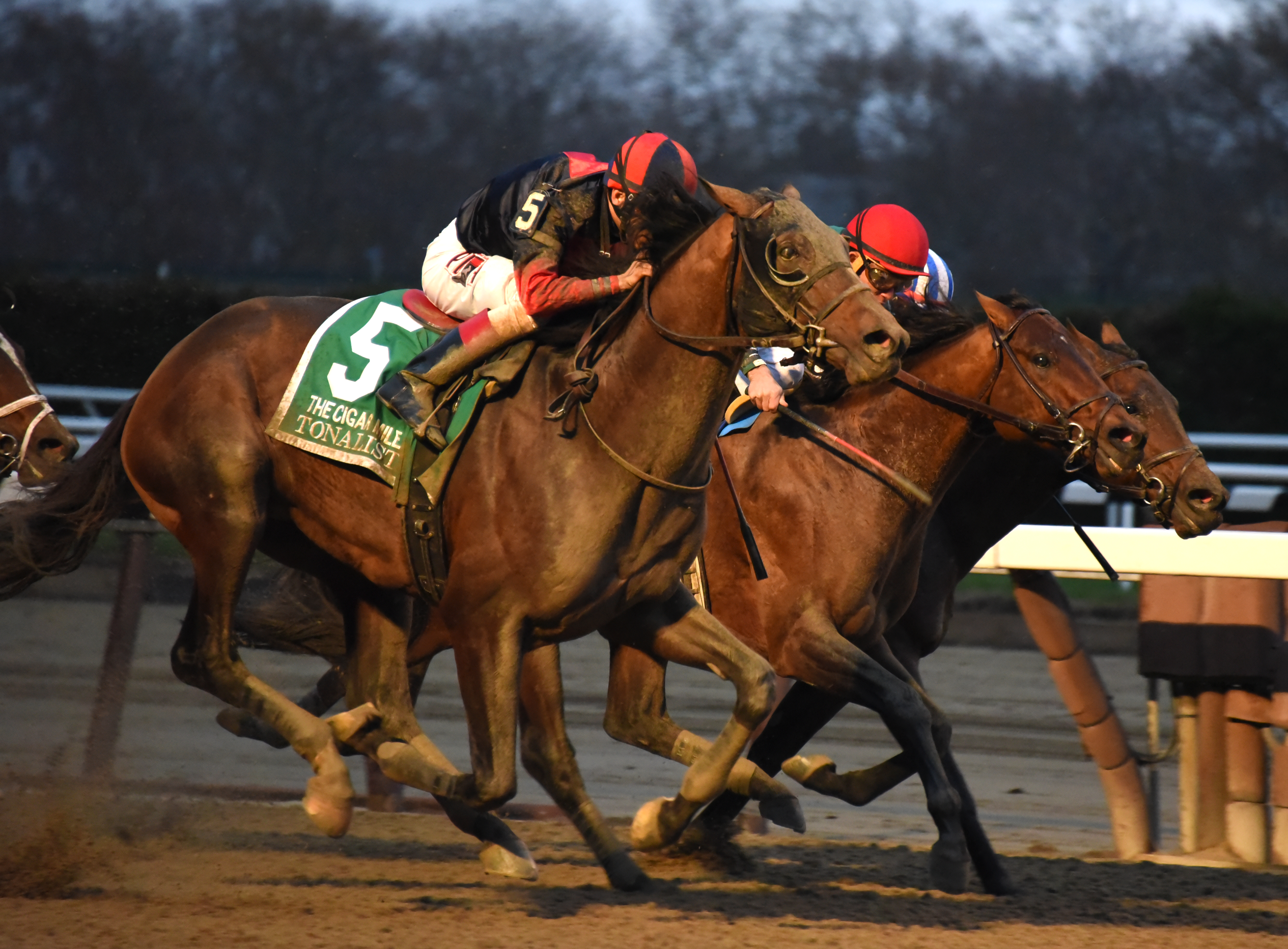 Tonalist wins Cigar Mile Handicap