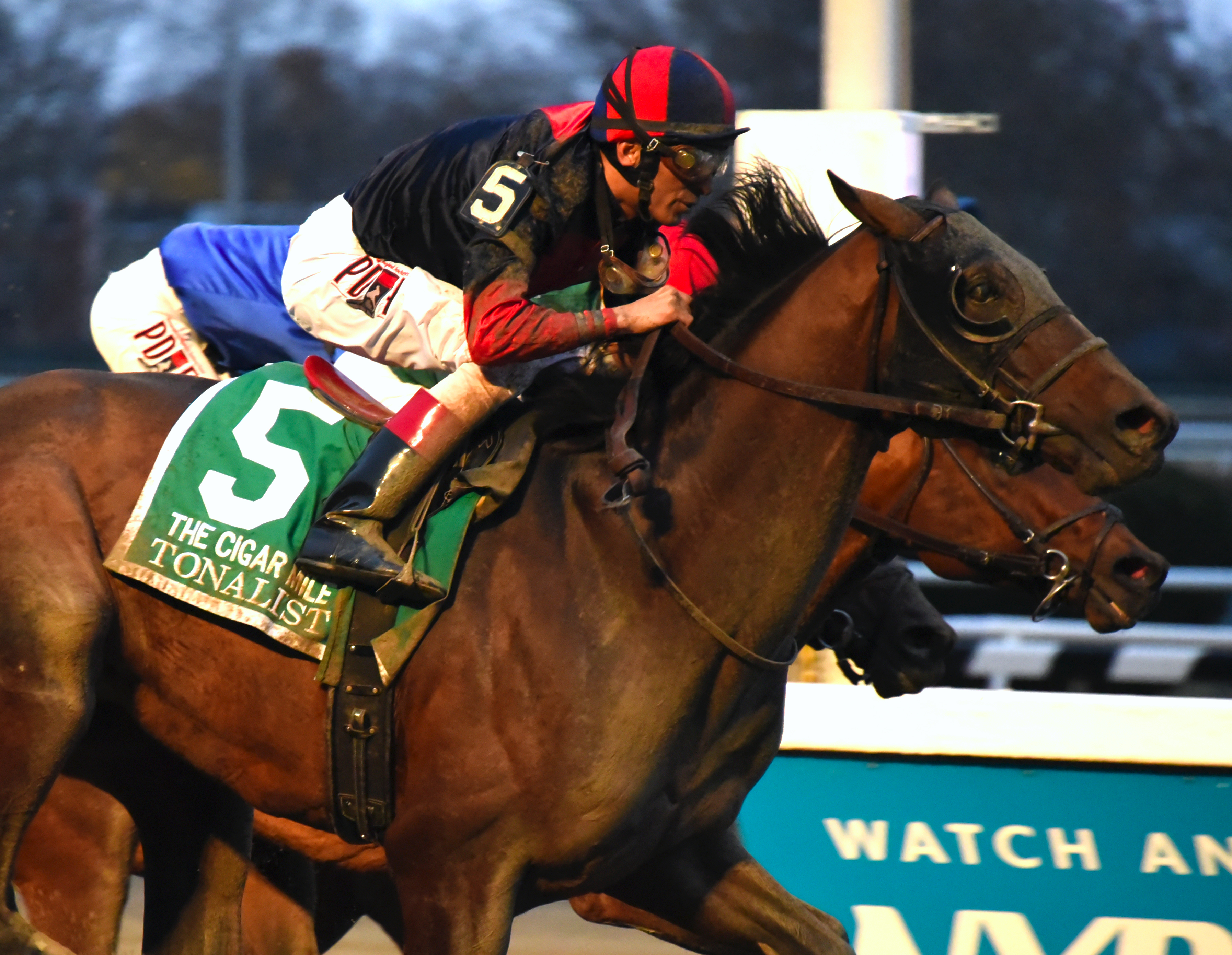 Tonalist wins 2015 Cigar Mile