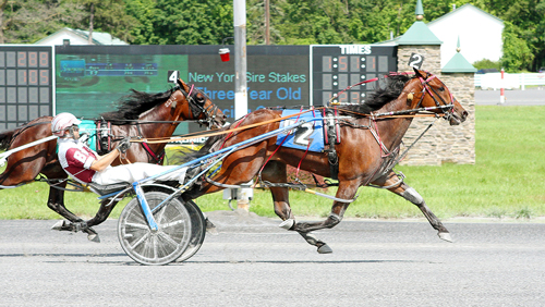 Town Gossip 7-14-21