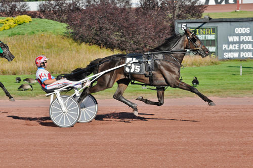 Town Victor 9/9/19