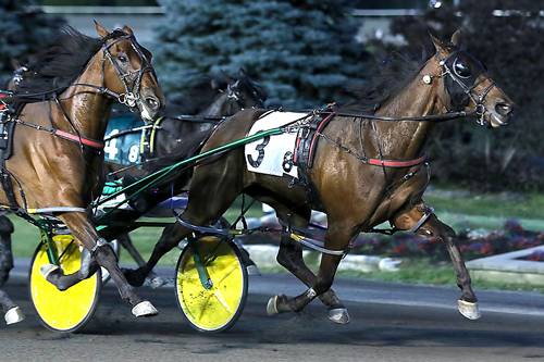 Treacherous Dragon 6-18-22