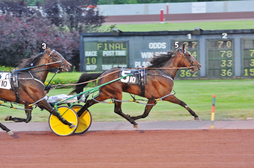 Treacherous Dragon 6-26-22