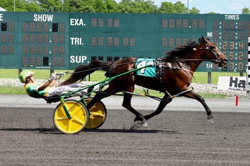 Treacherous Dragon 5-29-22