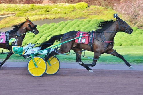 Treacherous Dragon 5-8-22