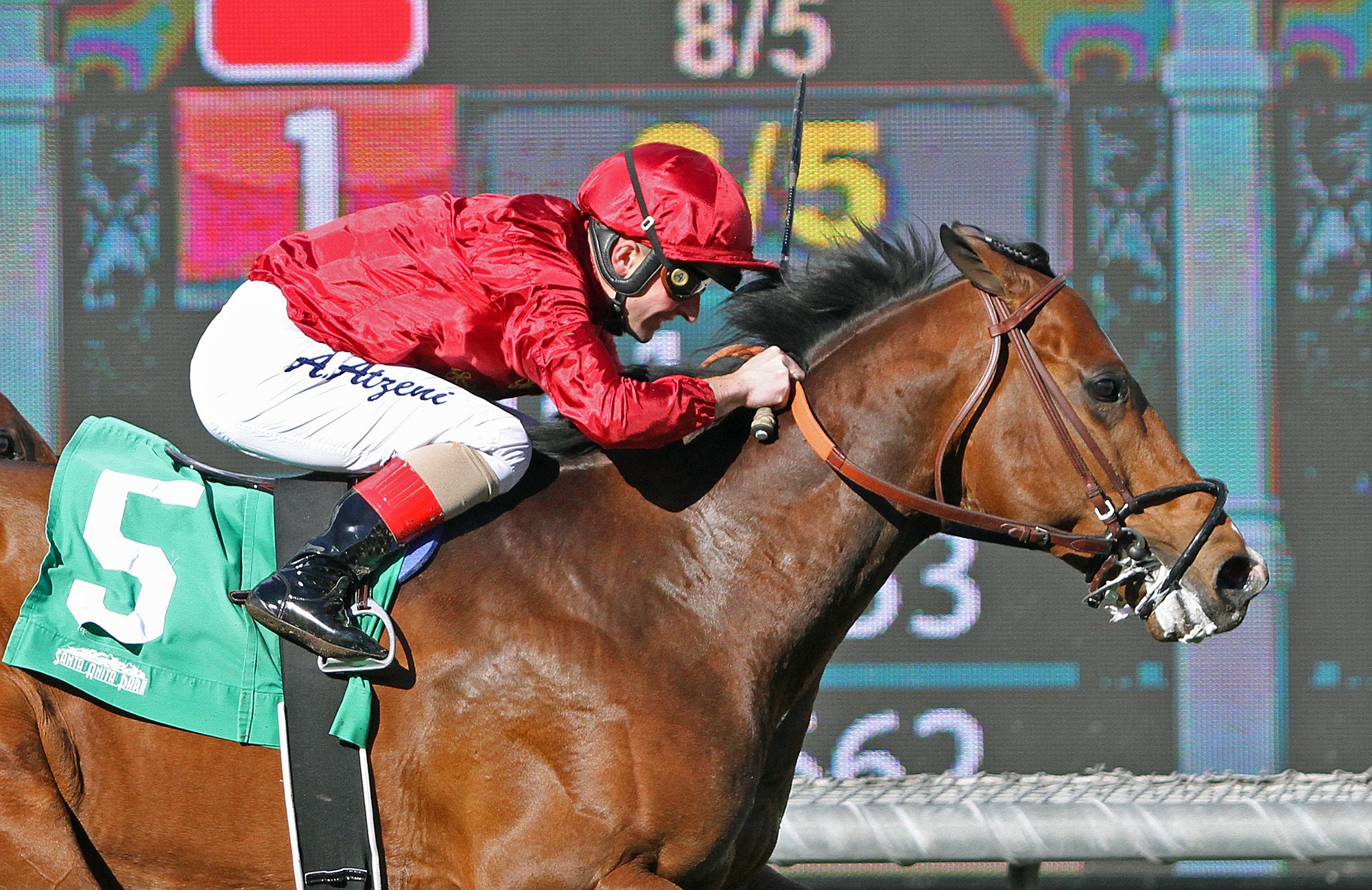 True Valour wins 2019 Thunder Road Stakes