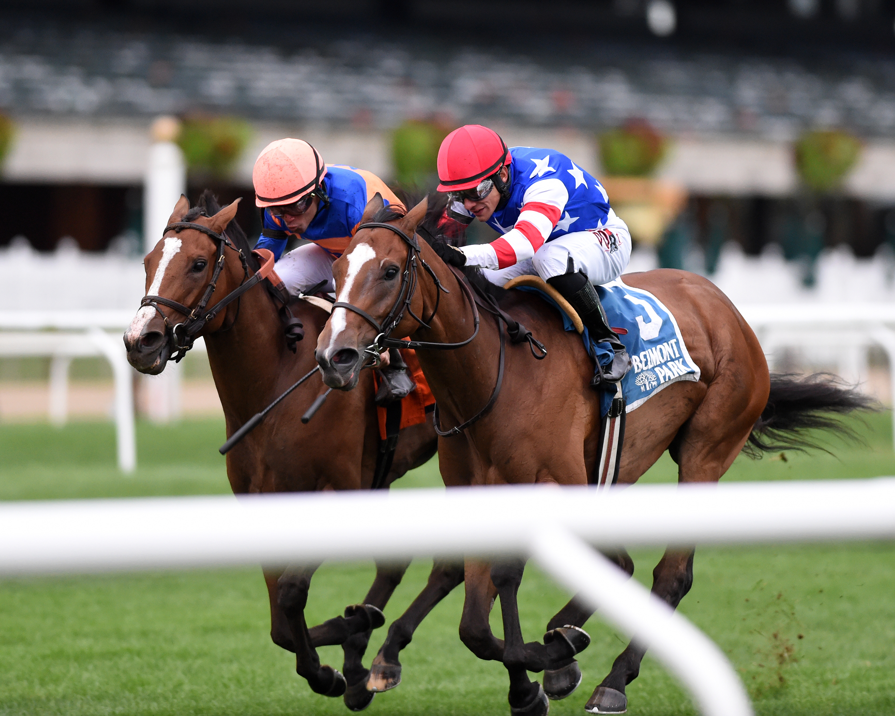 Turf War (left) gets up to defeat Brooke Marie in the Christiecat at Belmont 9-6-2019.Chelsea Durand/Coglianese Photos