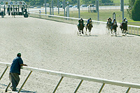 Polytrack at Turfway Park
