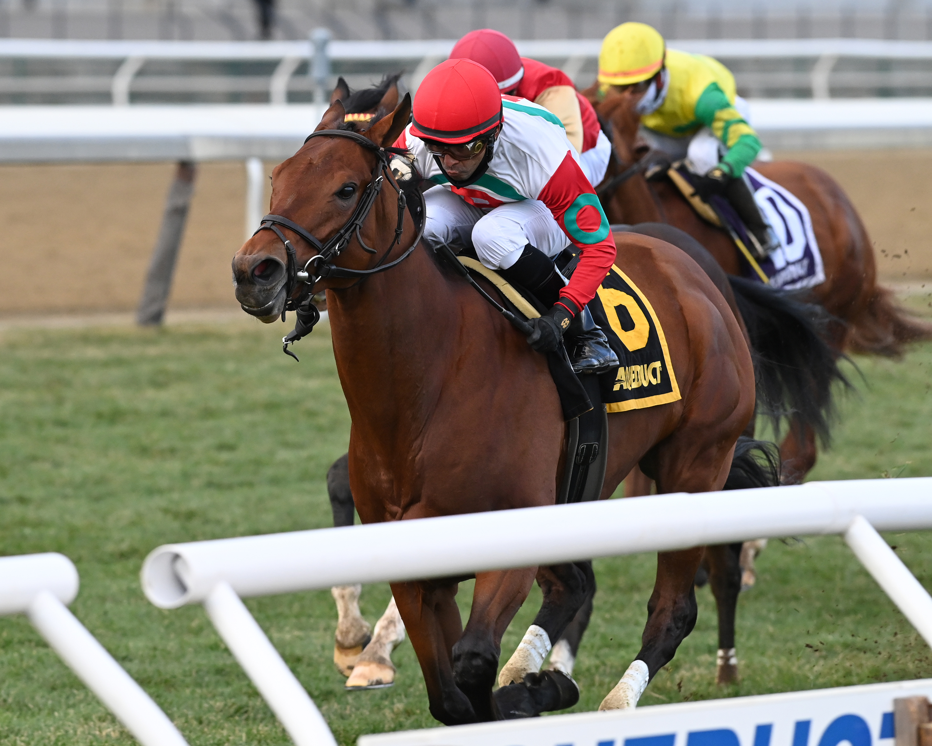 Turned Aside wins Aqueduct Turf Sprint 11-28-2020