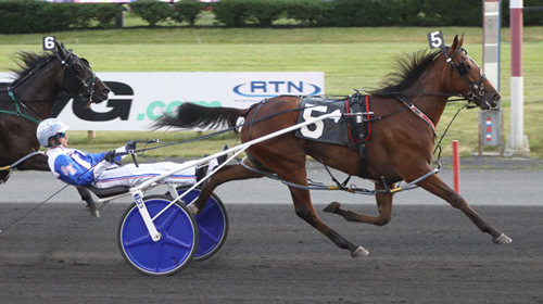 Ucandoit Blue Chip 6-24-22