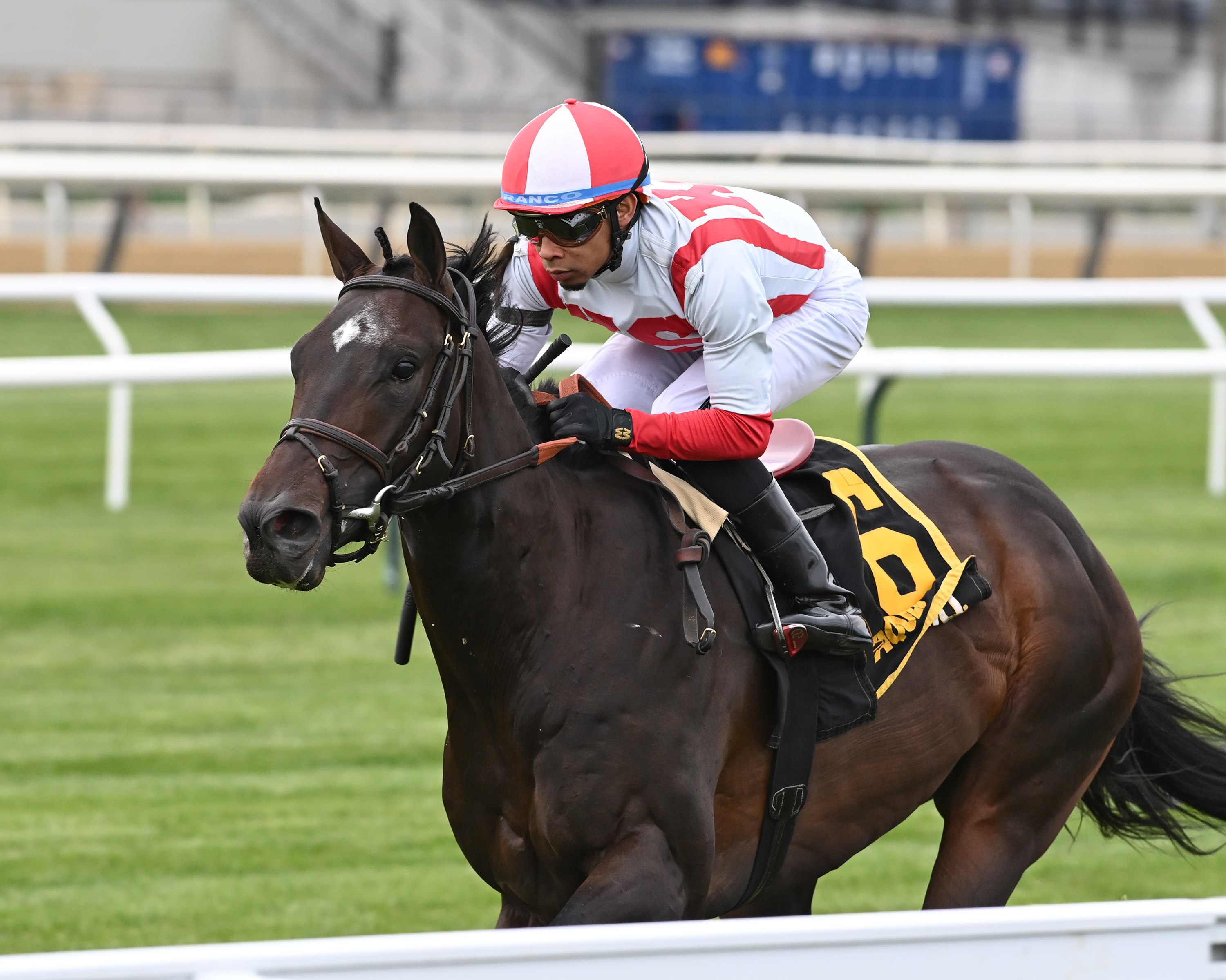 Unanimous Consent wins Woodhaven 4-24-2022