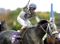 Unbridled Elaine