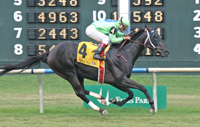 Unbridled Danz