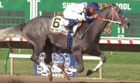 Unbridled Elaine