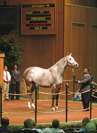 Unbridled Elaine
