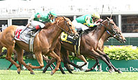 Unbridled Sidney