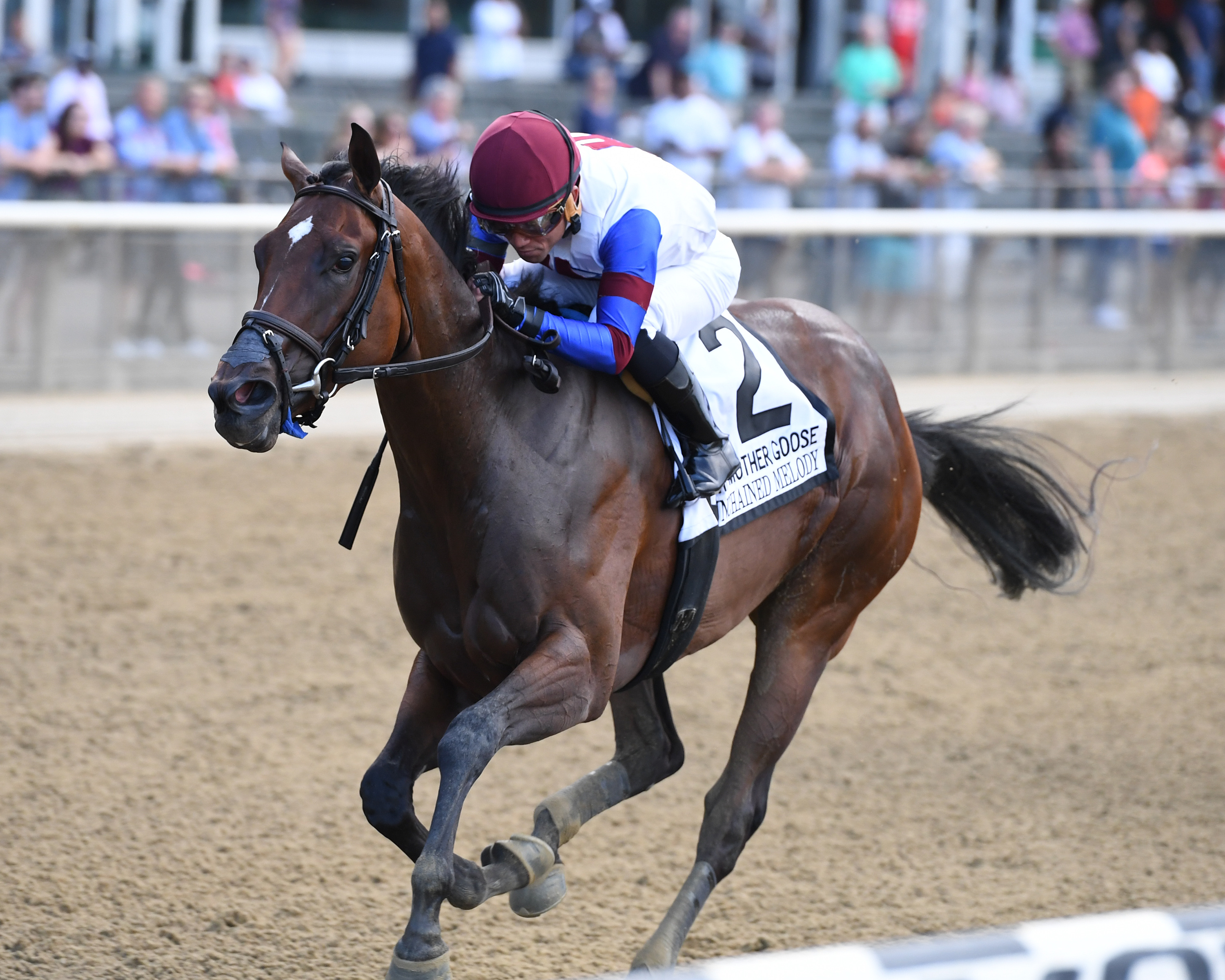 Unchained Melody wins the Mother Goose